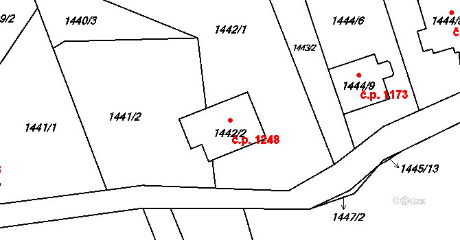 Ráj 1248, Karviná na parcele st. 1442/2 v KÚ Ráj, Katastrální mapa