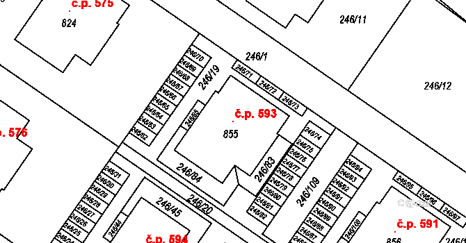 Cerhenice 593 na parcele st. 855 v KÚ Cerhenice, Katastrální mapa
