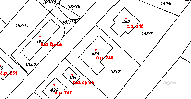 Cerekvice nad Loučnou 246 na parcele st. 436 v KÚ Cerekvice nad Loučnou, Katastrální mapa