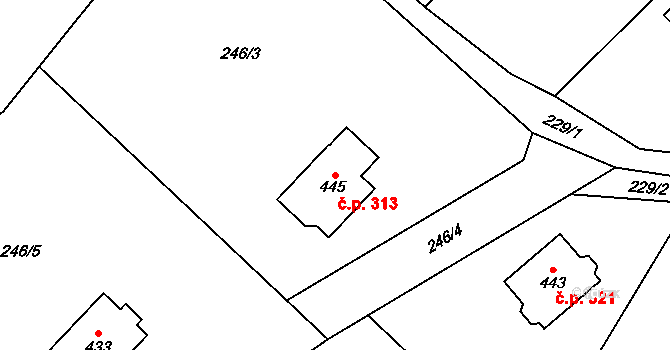 Ruda nad Moravou 313 na parcele st. 445 v KÚ Ruda nad Moravou, Katastrální mapa
