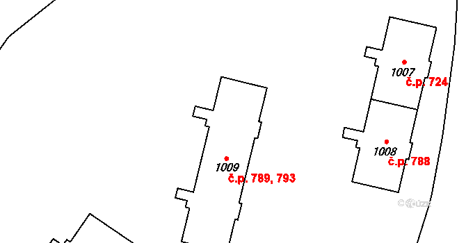 Nový Jičín 789,793 na parcele st. 1009 v KÚ Nový Jičín-Dolní Předměstí, Katastrální mapa