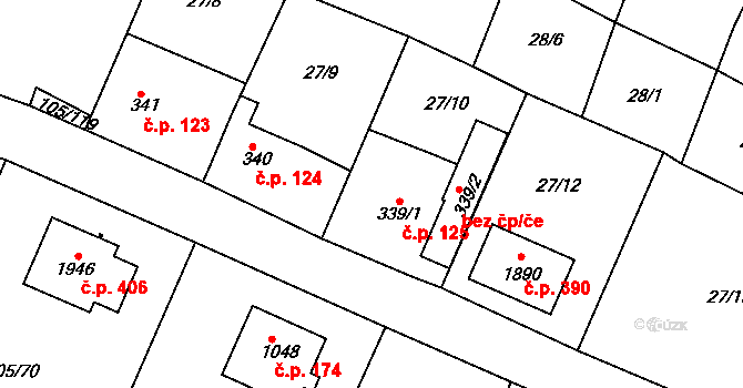 Čejetice 125, Mladá Boleslav na parcele st. 339/1 v KÚ Čejetice u Mladé Boleslavi, Katastrální mapa