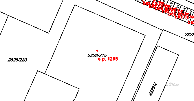 Černovice 1256, Brno na parcele st. 2828/215 v KÚ Černovice, Katastrální mapa