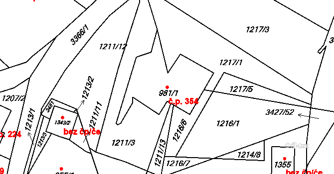 Horní Rokytnice 354, Rokytnice nad Jizerou na parcele st. 981/1 v KÚ Horní Rokytnice nad Jizerou, Katastrální mapa