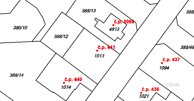 Nové Město 441, Rokycany na parcele st. 1013 v KÚ Rokycany, Katastrální mapa