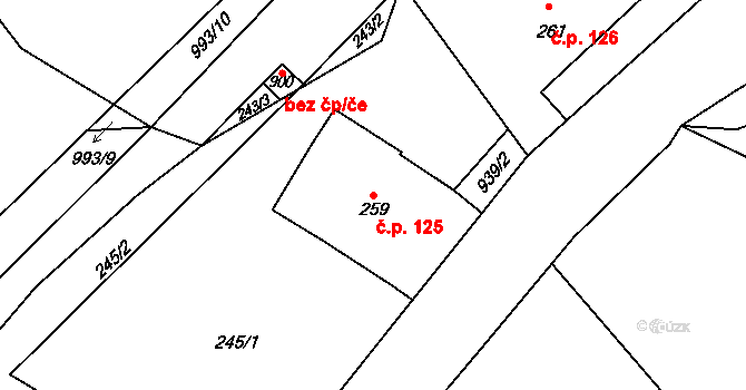 Borohrádek 125 na parcele st. 259 v KÚ Borohrádek, Katastrální mapa