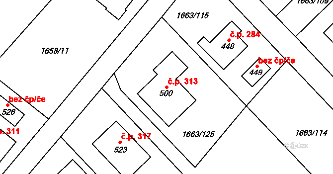 Chotusice 313 na parcele st. 500 v KÚ Chotusice, Katastrální mapa