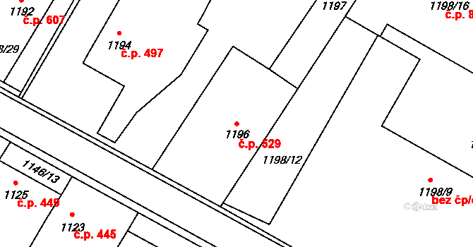 Lednice 529 na parcele st. 1196 v KÚ Lednice na Moravě, Katastrální mapa