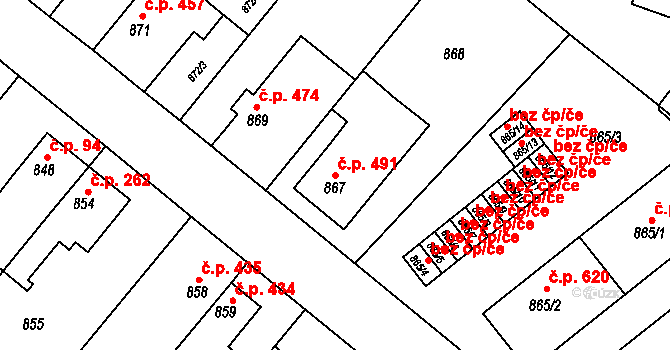 Opočno 491 na parcele st. 867 v KÚ Opočno pod Orlickými horami, Katastrální mapa