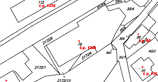 Vejprty 1243 na parcele st. 79 v KÚ Vejprty, Katastrální mapa