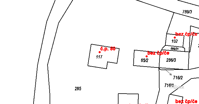 Nemojov 50, Pelhřimov na parcele st. 117 v KÚ Nemojov, Katastrální mapa