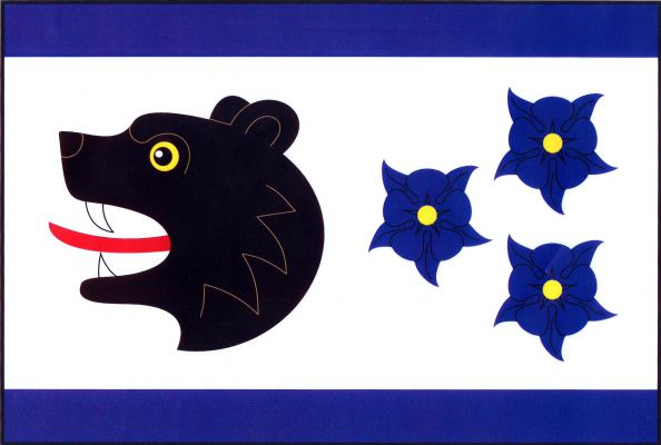 Bartošovice v Orlických horách - vlajka
