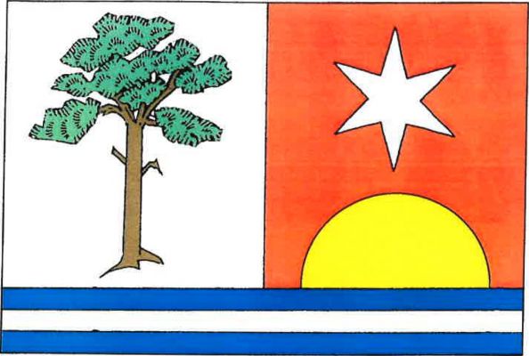 Borová - vlajka
