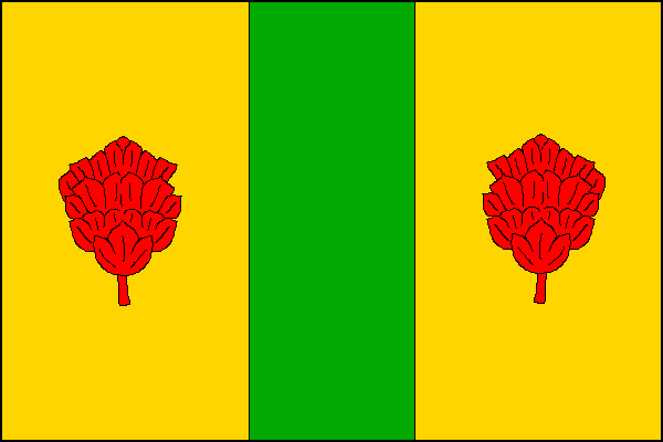 Bory - vlajka