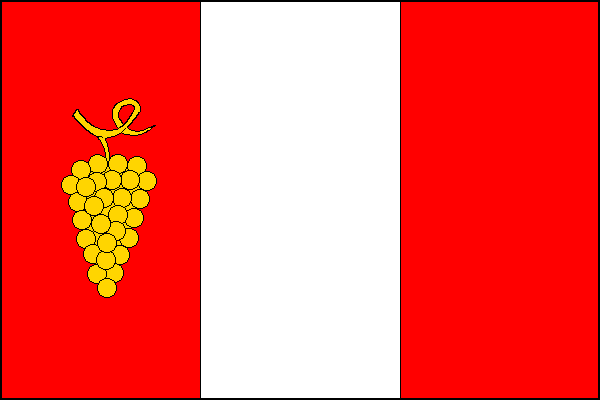 Bošovice - vlajka