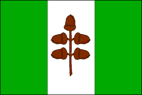 Dubňany - vlajka