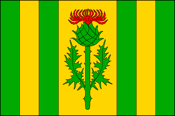 Holotín - vlajka