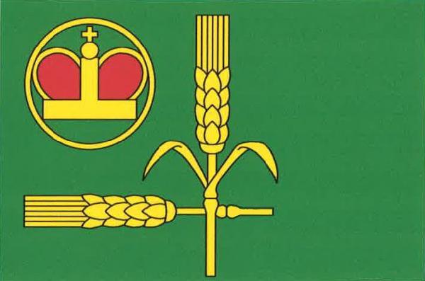 Jeníkov - vlajka