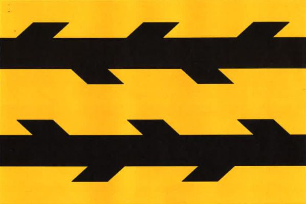 Kotlasy - vlajka