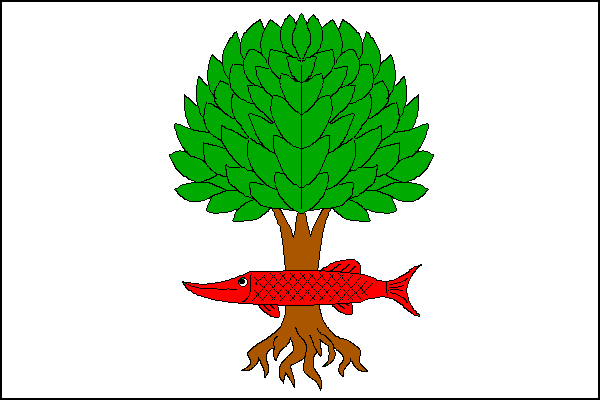 Litostrov - vlajka