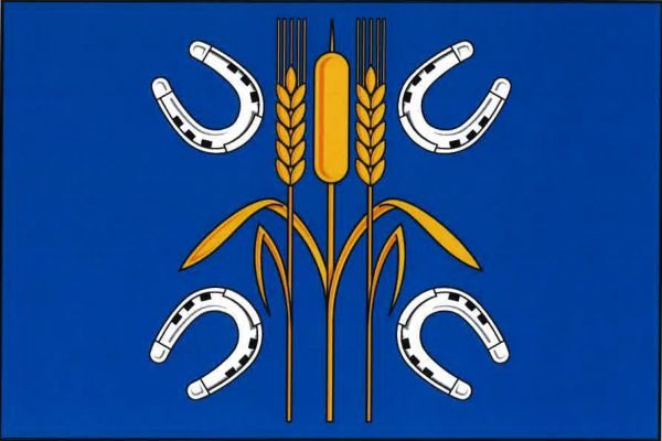 Nasavrky - vlajka