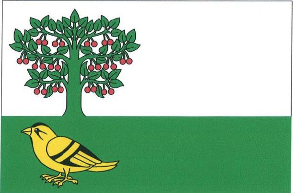 Petkovy - vlajka