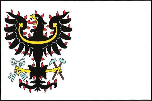 Petrovice I - vlajka