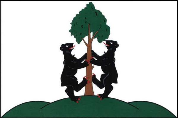Přimda - vlajka