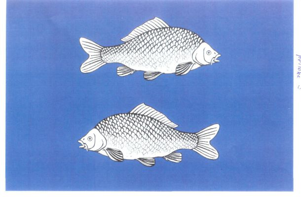 Rybné - vlajka