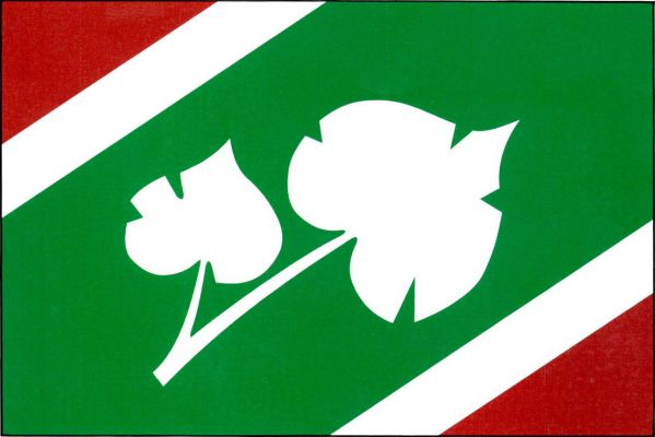 Tatobity - vlajka