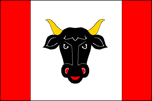 Turovice - vlajka