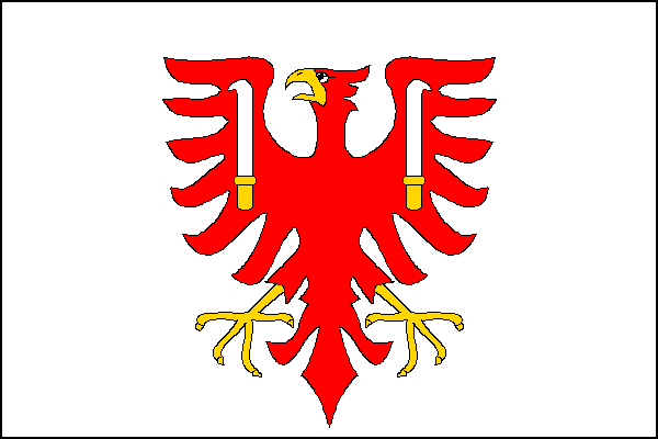 Týn nad Bečvou - vlajka