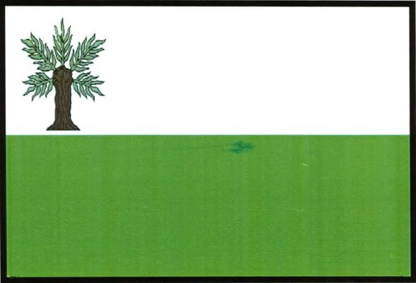 Vidnava - vlajka