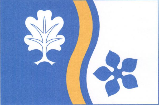 Vidochov - vlajka
