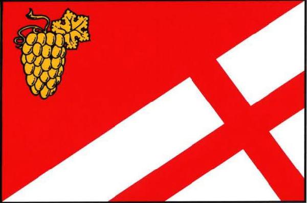 Vinařice - vlajka