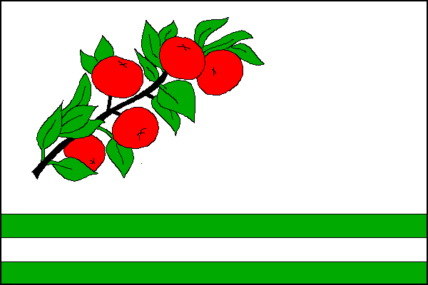 Žďárná - vlajka